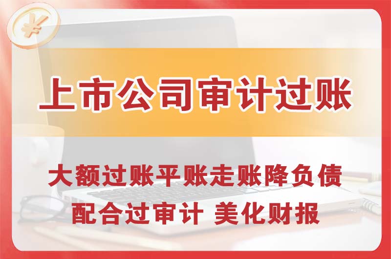 武清上市公司审计过账